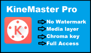 KineMaster Pro Version
