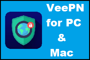 VeePN for PC