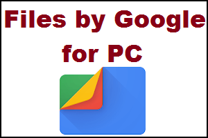Files by Google for PC