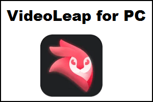 VideoLeap for PC