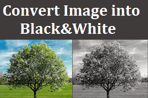 image into Black&White