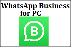 Whatsapp Business for PC