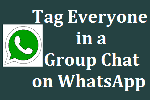 WhatsApp Tag Everyone