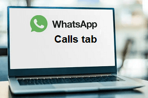 WhatsApp Desktop Calls Tab