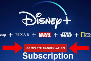 Disney Plus Subscription