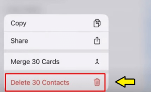 Delete Multiple Contacts on iPhone