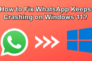 Fix Whatsapp Crashing on Windows 11