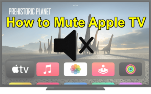 How to Mute Apple TV