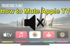 How to Mute Apple TV