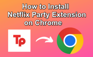 Netflix Party Extension