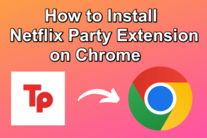 Netflix Party Extension