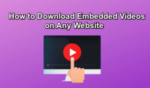 Download Embedded Videos