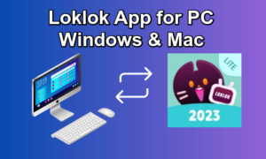 Loklok App for PC