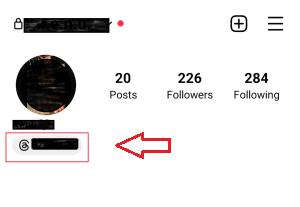 Remove Threads Badge on Instagram Profile