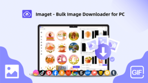 Imaget Bulk Image Downloader for PC